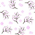 Cherry blossom flowers background. Sakura pink flowers background