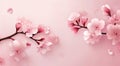 Cherry Blossom Flowers on Light Pink Background - Delicate Floral Elegance.