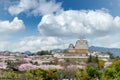 Cherry blossom flowers season with Himeji castle in Himeji city, Hyogo near Osaka, Japan