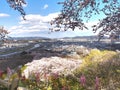 Cherry blossom in Funaoka Joshi Park in Miyagi prefecture, Japan