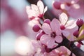 Cherry blossom generated by ai Royalty Free Stock Photo