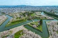 Cherry blossom at Goryokaku park