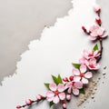 Cherry blossom on gray background with copy space, top view. Royalty Free Stock Photo