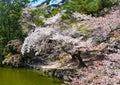 Cherry blossom hanami in Nara, Japan