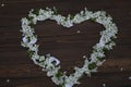 cherry blossom heart shaped decoration on dark brown wooden background Royalty Free Stock Photo