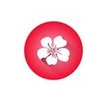 Cherry Blossom Icon Japanese Sakura Flower Isolated