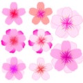 Cherry blossom icon set. Modern Vector illustration Royalty Free Stock Photo