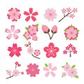 Cherry blossom icon set Royalty Free Stock Photo