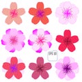 Cherry blossom icon set. Royalty Free Stock Photo