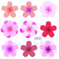 Cherry blossom icon set. Vector Royalty Free Stock Photo