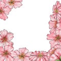 Cherry blossom. Invitation, card, banner with watercolor pink cherry blossoms. Blank template. Hand drawing. Square