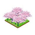 Cherry blossom isometric forest