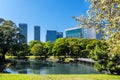 Cherry blossom in Japan, blossoming japanese sakura, beautiful spring Tokyo park