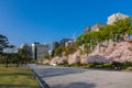 Cherry blossom in Japan, blossoming japanese sakura in beautiful spring Tokyo park