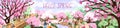 Cherry blossom in Japan park, landscape banner. Blossomed spring flowers with pink petals on trees, sakura blooms