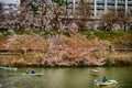 Cherry blossom at Kagurazaka, Tokyo, Japan