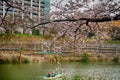 Cherry blossom at Kagurazaka, Tokyo, Japan