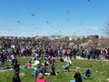 Cherry Blossom Kite Festival on the National Mall in Washington, DC Royalty Free Stock Photo