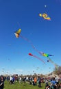 Cherry Blossom Kite Festival on the National Mall in Washington, DC Royalty Free Stock Photo