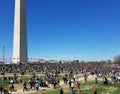 Cherry Blossom Kite Festival on the National Mall in Washington, DC Royalty Free Stock Photo