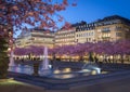 Cherry blossom in Kungstradgarden, Stockholm. Royalty Free Stock Photo