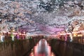 Cherry blossom lined Meguro Canal at night in Tokyo, Japan. Springtime in April in Tokyo, Japan. Royalty Free Stock Photo