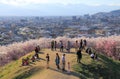 Cherry blossom Matsumoto Nagano Japan Royalty Free Stock Photo