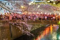 Cherry blossom at Meguro canal at twilight in Tokyo