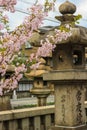 Cherry Blossom and night Night lantern stone craving