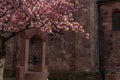 Cherry blossom in an old square with a medieval well in spring