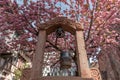 Cherry blossom in an old square with a medieval well in spring Royalty Free Stock Photo