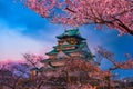 Cherry blossom at Osaka castle Japan at night Royalty Free Stock Photo