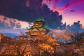 Cherry blossom at Osaka castle Japan at night Royalty Free Stock Photo