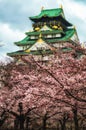 Cherry Blossom and Osaka Castle Royalty Free Stock Photo