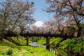 Cherry blossom at Oshino Hakkai village and Fuji Royalty Free Stock Photo