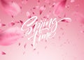 Cherry blossom petal background with Spring time lettering. Vector illustration Royalty Free Stock Photo