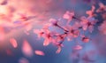 Cherry blossom petals in the breeze, floral background, soft focus, blurred background Royalty Free Stock Photo