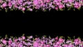 Cherry blossom petals display frame with flower petals and particle lights for overlays on your celebration projects, couples,