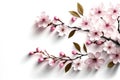 Cherry Blossom Petals Side Border in White Background - Generative AI