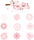 Japanese cherry blossom icons, spring sakura blossom vector icon set Royalty Free Stock Photo