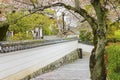Cherry Blossom Road in Japan Royalty Free Stock Photo