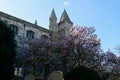 Cherry Blossom, Rochester Cathedral, Rochester, Kent, England, UK Royalty Free Stock Photo