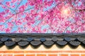 Cherry Blossom with roof of temple in spring. Royalty Free Stock Photo