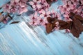 Cherry blossom on rustic wooden backkground