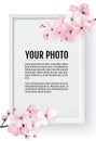 Cherry blossom, sakura branch with pink flowers on white frame. Realistic image of springtime. Vector illustration Royalty Free Stock Photo