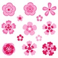 Cherry blossom. Sakura flowers. Royalty Free Stock Photo