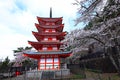 cherry blossom (sakura ) in spring from Arakurayama Sengen Park Royalty Free Stock Photo