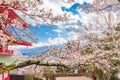 Cherry blossom sakura in spring season with Red pagoda in park and Mt. fuji background Royalty Free Stock Photo