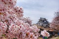 Cherry Blossom Season at Kumamoto Castle Royalty Free Stock Photo