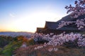 Cherry Blossom Season at Kyoto Japan